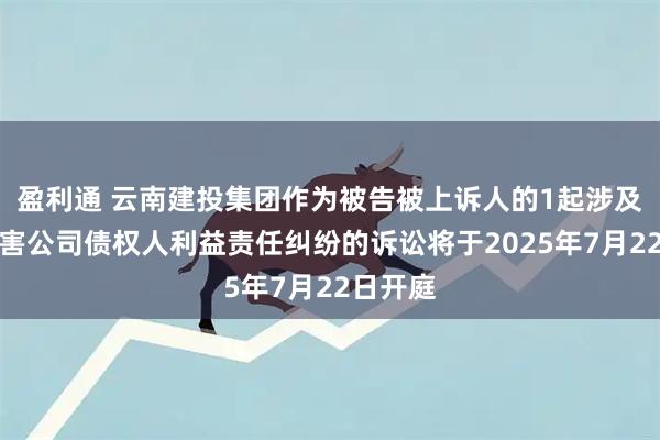 盈利通 云南建投集团作为被告被上诉人的1起涉及股东损害公司债权人利益责任纠纷的诉讼将于2025年7月22日开庭